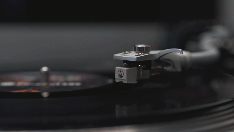 6.gif
